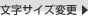 �����T�C�Y�ύX